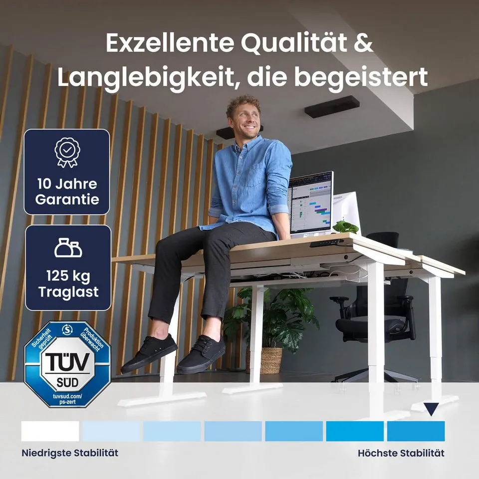 Ergotopia Pro X elektrisch höhenverstellbarer Schreibtisch, flexible Höhenanpassung, edles OLED-Display 4