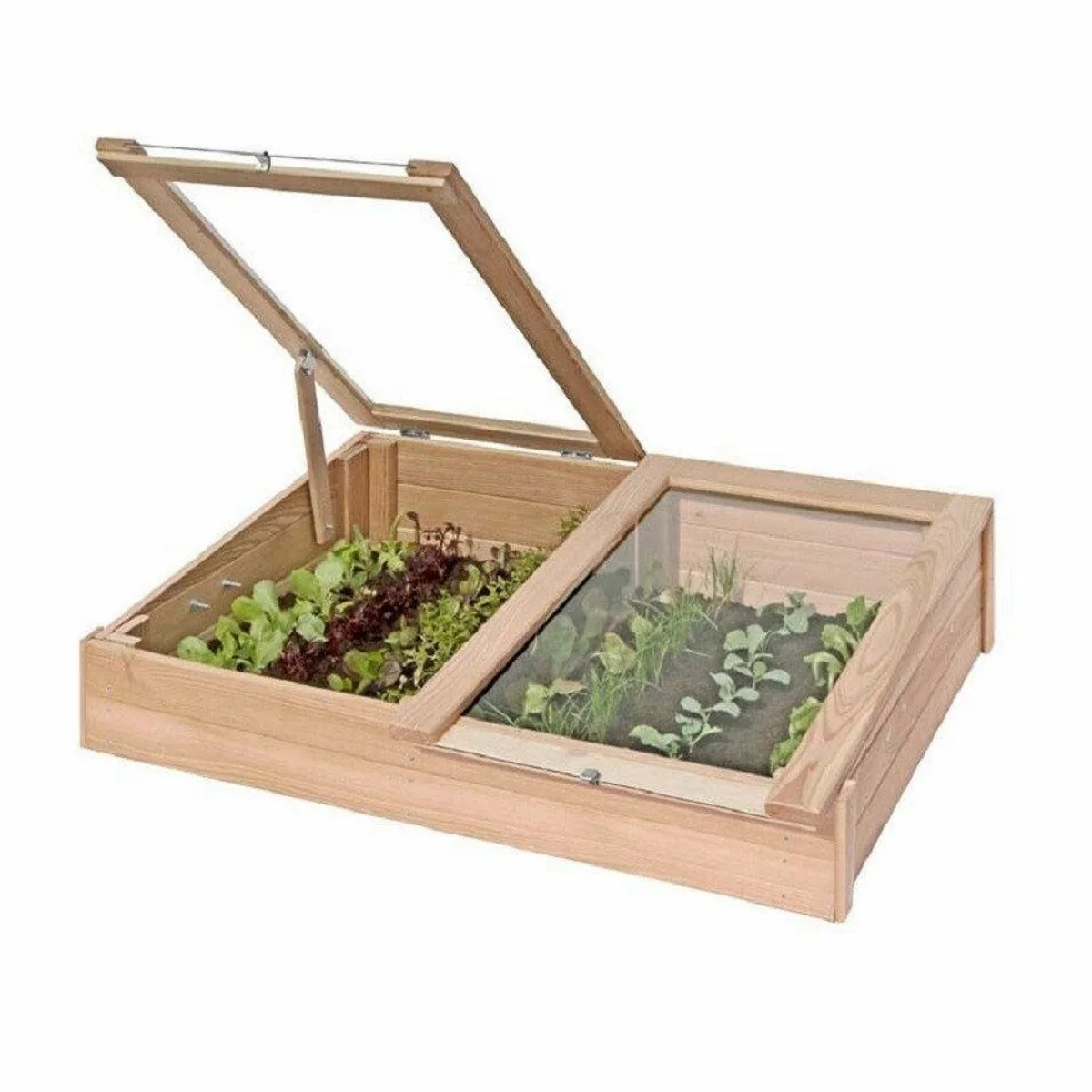 Gartenpirat Frühbeetkasten 119x80x30 cm, Lärchenholz, zwei verstellbare Fenster