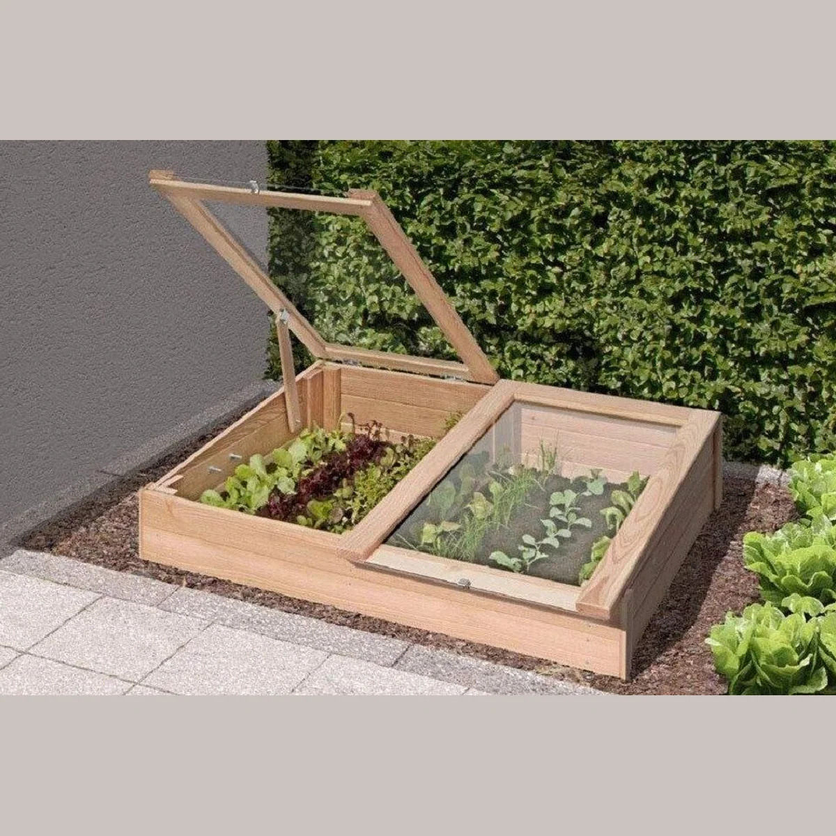 Gartenpirat Frühbeetkasten 119x80x30 cm, Lärchenholz, zwei verstellbare Fenster 2