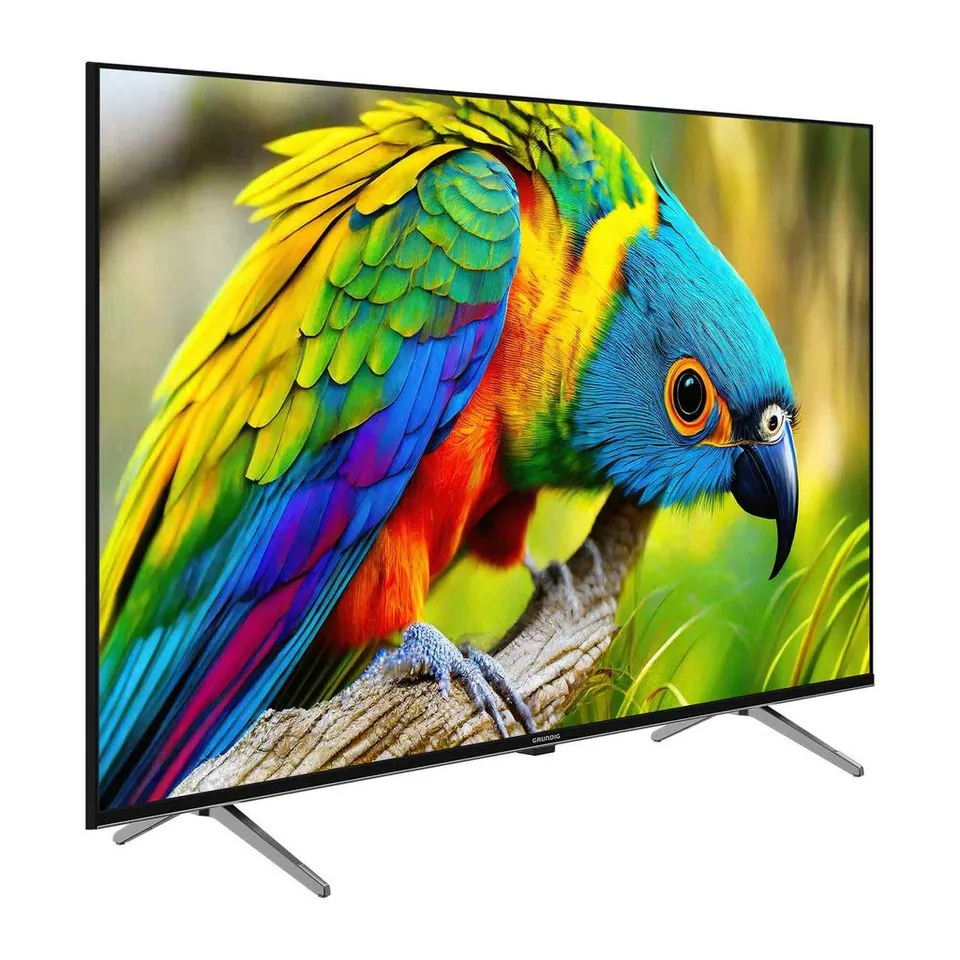 Grundig 55 GUB 7340 LED-Fernseher, 4K UHD, Dolby Vision, Magic Fidelity 2
